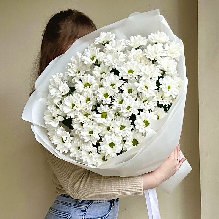 Оживлення зів’ялих хризантем